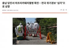 韩国发生非洲猪瘟疫情 政府发布“严重”级危机警报